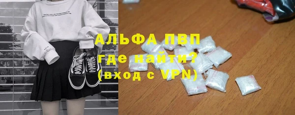 крисы Аркадак