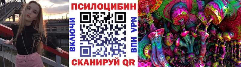 купить наркоту  Новоржев  Галлюциногенные грибы Psilocybe 