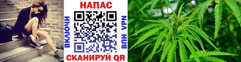 Каннабис White Widow  Новоржев 